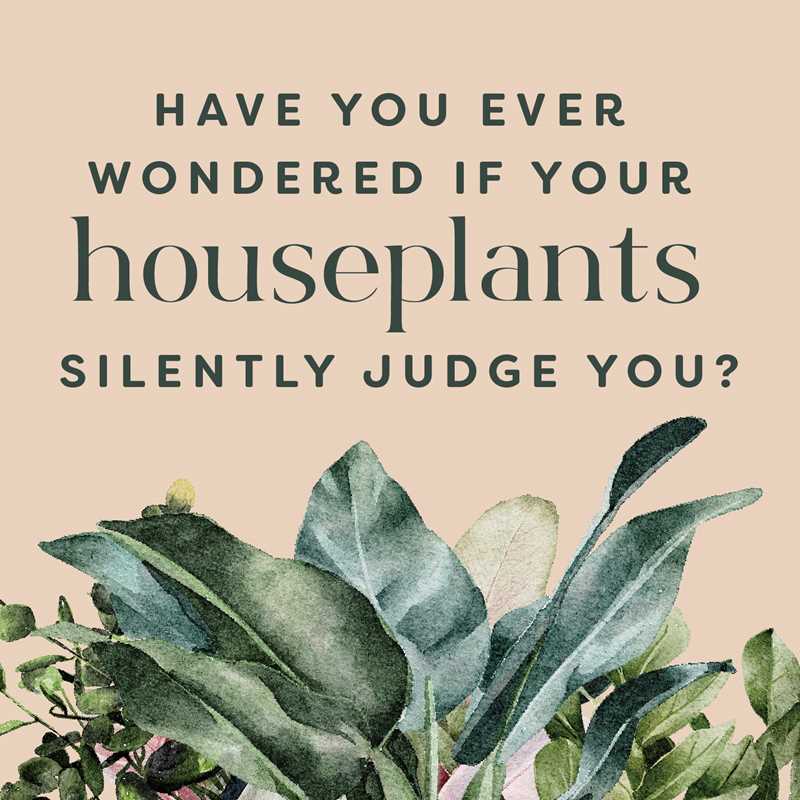 Houseplants and Their Fucked-Up Thoughts by Carlyle Christoff: Hardcover; 96 pages / English