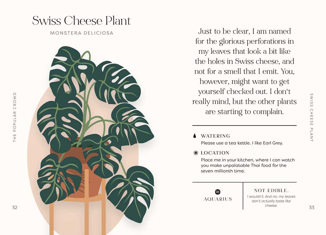 Houseplants and Their Fucked-Up Thoughts by Carlyle Christoff: Hardcover; 96 pages / English