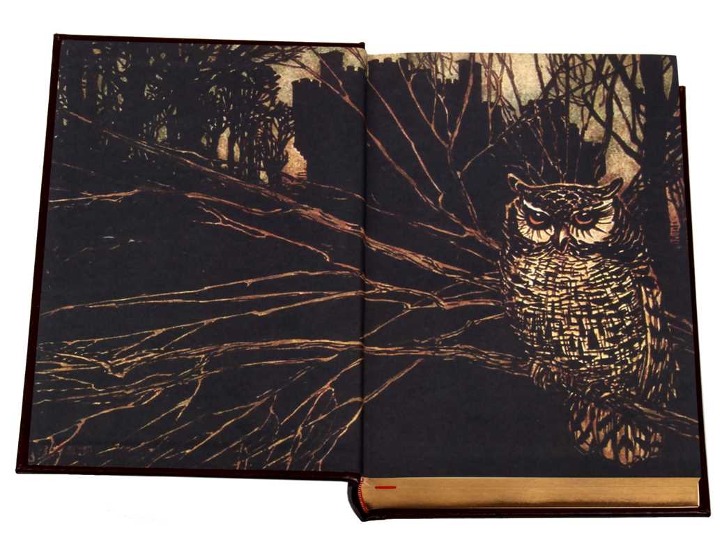Grimm's Complete Fairy Tales by Jacob Grimm: Embossed Leather; 676 pages / English